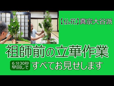 【仏花】祖師前の立華作業　すべてお見せします