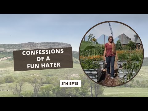 S14 E15: Confessions of a Fun Hater