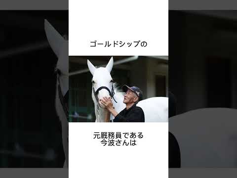 実は賢いゴールドシップ　#競馬 #馬 #騎手 #競艇 #競輪#雑学