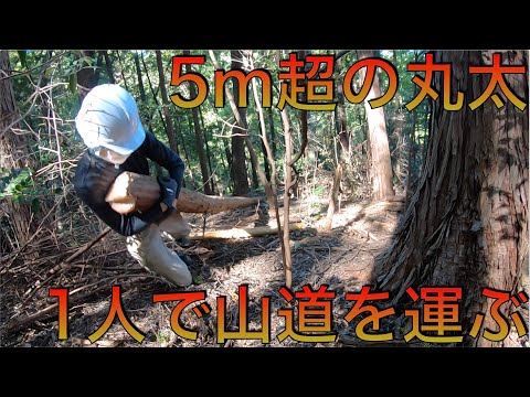 身長の3倍！丸太を運んで満身創痍の会社員【最後にお知らせあり】山開拓 #22