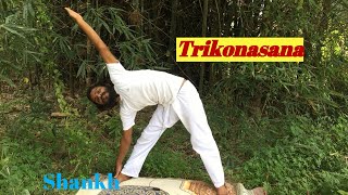 Trikonasana or Utthita Trikonasana, Triangle Pose is a standing#Yoga