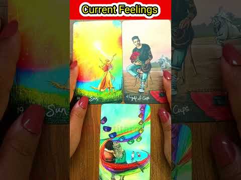 Aapke person ki current energy  #tarot #tarotreading #currentfeelings #shortvideo #short #viralshort