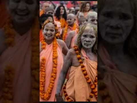 Ye prayagraj Hai #trending #prayagrajkumbh #mahakumbh2025 #viralvideo #song #shortsongs