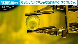 福島第一原発から取り出したデブリ　核燃料由来の成分「ユウロピウム」確認　東京電力(2024年11月14日)