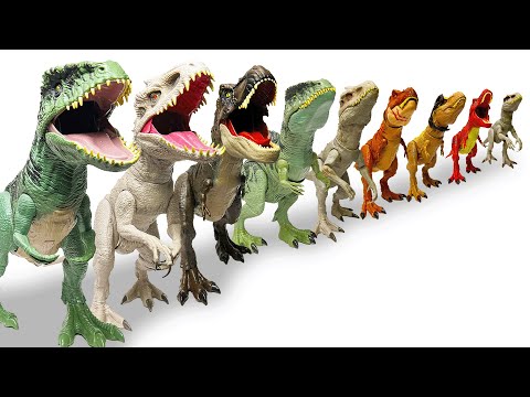 HUGE T-Rex Collection Showcase BIGGEST To Smallest | T-Rex, Indominus Rex, Giganotosauruses & More!