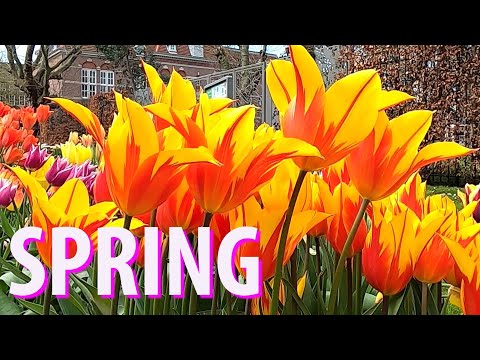 Top Things to Do in Amsterdam in Spring