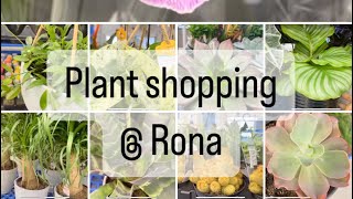 Plant shopping @ Rona