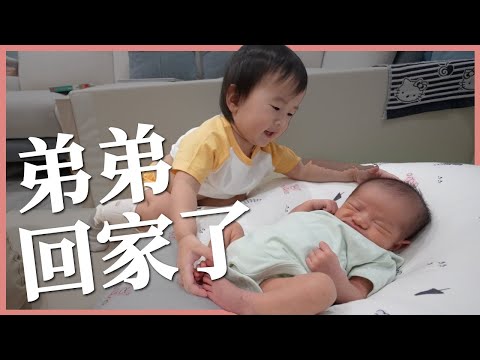 兩歲小姊姊怎麼跟新生兒弟弟相處？新手二寶家庭的一天｜豬豬隊友 Scott & Wendy