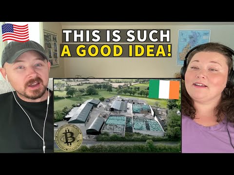 Americans React: How Irish Farmers Convert Cow Dung into Digital Gold (Bitcoin)