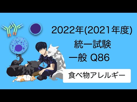 2022一般Q86『食べ物アレルギー』 愛玩動物看護師国家試験対策