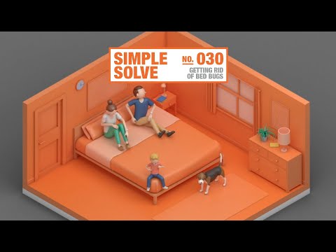 How to Get Rid of Bed Bugs | The Home Depot Canada