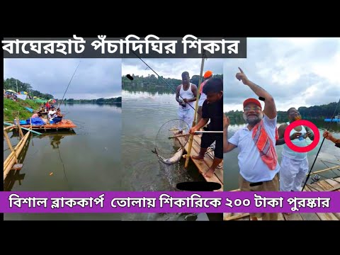 টিকিটের বিশাল মাছ শিকার | ব্লাক কার্প মাছ শিকার | Ep:05 | #viralfishingvideo #hook_fishing