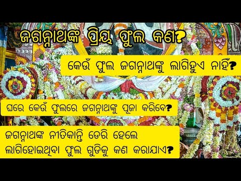 ଜଗନ୍ନାଥ ଙ୍କପ୍ରିୟ ଫୁଲ କଣ? ଘରେ କେଉଁ ଫୁଲ ରେ ଜଗନ୍ନାଥ ଙ୍କୁ ପୂଜା କରିବେ?