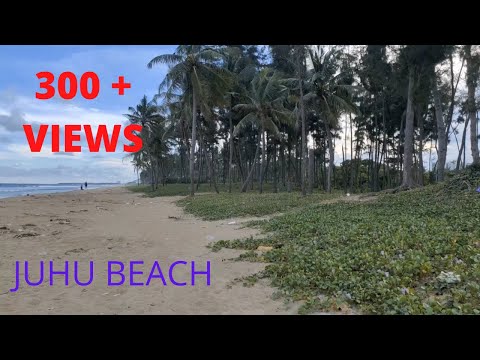 Juhu Beach Chennai | Ecr Beach Chennai | Ecr Beach Chennai Review | Hidden Beach In Ecr Chennai