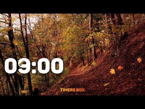 9 Minute Timer Autumn Fall Forest 🍁🌲🍂  (Relaxation Video)