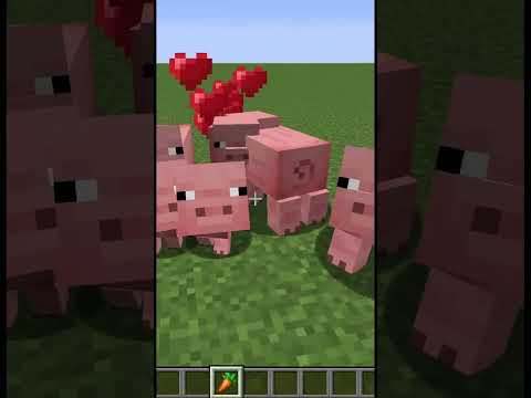 Minecraft Loving Pigs Part 3 #Shorts