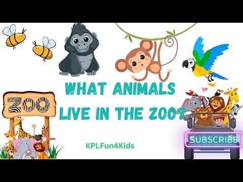 Animal Facts for Kids: Fun Zoo Adventure: Amazing Animal Facts for Kids!