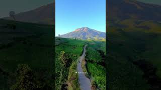 Peaceful Mountain Village Life | Terraced Fields and Nature