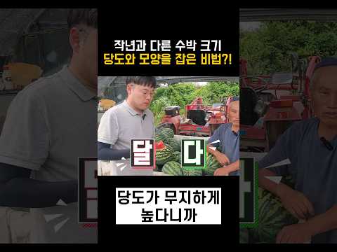 수박 농사 대박나게 하는 제품이 뭐길래?!