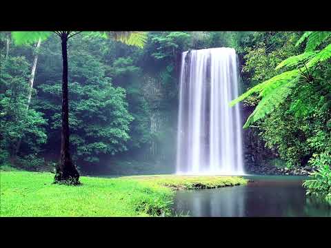 🔴 Nature Relaxing Music, Waterfall River In Nature - Water And Birds Relaxing Music (Nature Quest)