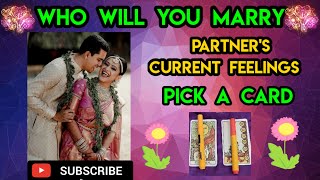 who will you marry pick a card | tarot card reading in hindi | spouse current feeling | pick a card