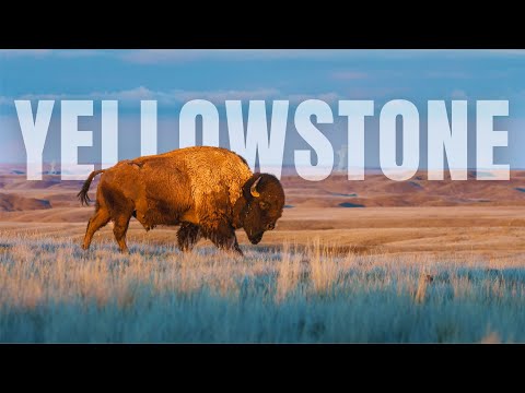 ULTIMATE TRAVEL GUIDE to Yellowstone National Park