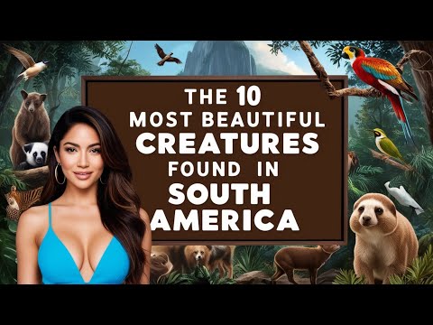 The 10 Most Beautiful Creatures Found in South America