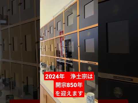 【ハワイ生活】2024年浄土宗は開宗850年を迎えます　＃知恩院へ行こう！#shorts #初音ミク #ボカロ