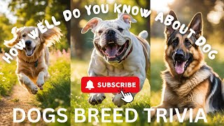 ANIMAL TRIVIA QUIZ | DOG TRIVIA Q&A | DOG PUB QUIZ #animals #triviaquiz #triviaquestions