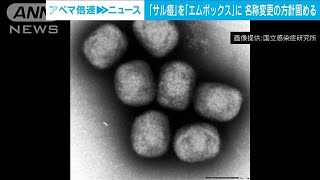 「サル痘」の名称を「エムポックス」への変更方針固まる　厚労省の専門部会(2023年2月17日)