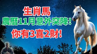 生肖馬！農曆十一月12月1日~30日，意外好運來襲，你有躲不過的3喜2財！是什麼？接！ #生肖馬2024年運程 #生肖馬2024年運勢 #屬馬人2024年運程 #屬馬人2024年運勢