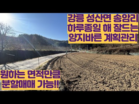 [강릉 송암리 토지매매] 하루종일 해 잘드는 양지바른 도로접한 계획관리지역 (분할매매 가능)