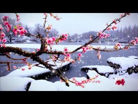 《雪花雪花- Snowflake Snowflake》Solo Ling Ling 祝2023新年快乐！