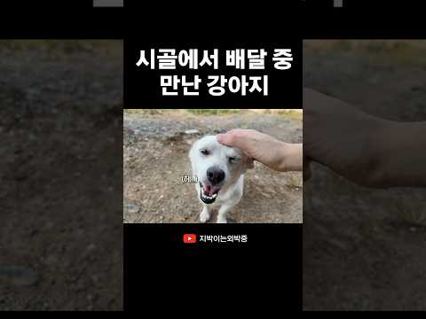 힐링 된다..