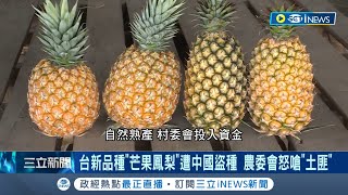 中國還想續當農產品偷竊慣犯? 台灣"芒果鳳梨"歷經20年研發 竟遭中國海南島盜種更刊載"中國台灣農試所培育" 農委會怒嗆中:土匪｜【台灣要聞】20230405｜三立iNEWS