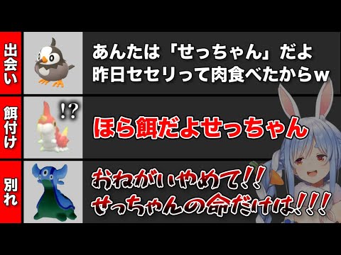 【人生縛り】ぺこらとせっちゃんの物語／ポケモンBDみどころまとめ【ホロライブ切り抜き】