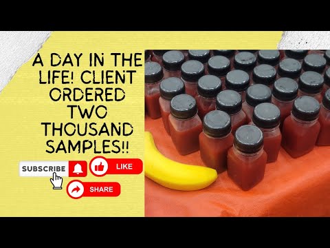 They ordered 2,000 samples!! | A day in the life of a small business owner