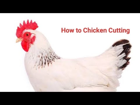 chicken cutting skills #chicken #chickenrecipe #skills #cuttingskills #viralvideo #youtubevideo #tr