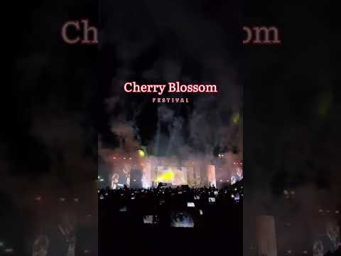 Cherry Blossom Festival Shillong || Akon live performance #akon #liveperformance #shortvideo