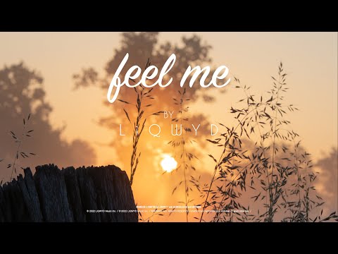 LiQWYD - Feel me [Official]