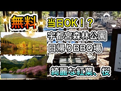 【栃木】当日利用も可能！？完全無料！ダムの周辺で日帰りBBQ！宇都宮市森林公園キャンプ場　栃木　茨城　関東　無料&格安キャンプ場