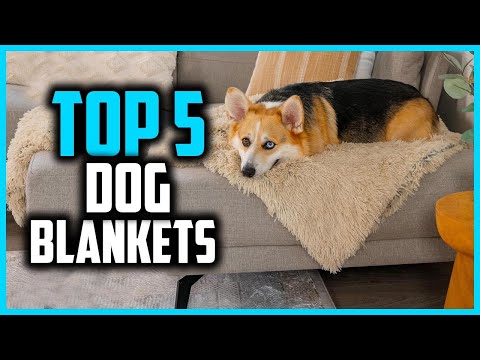 ✅Top 5 Best Dog Blankets in 2025