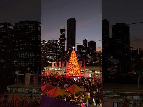 Melbourne’s Christmas Festival #melbourne  #christmas #season #australia #travel #shorts #explore