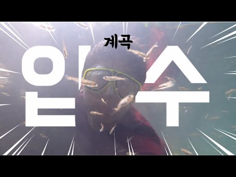 #35 [귀촌 브이로그] 계곡 입수!!