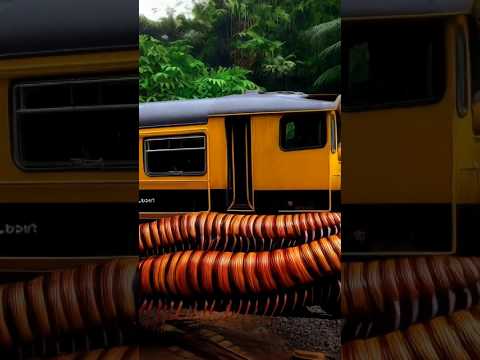 Nature Exploration | Travel Discovered | Abandoned Train  #shorts #trending #wow