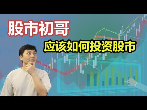 【财富之门】新手必看！投资股市全攻略，轻松实现财务自由！