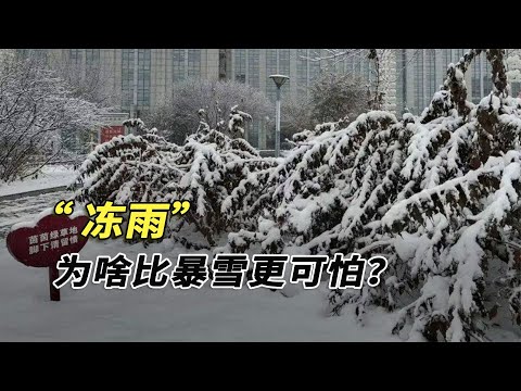 湖北凍雨有多嚴重？高鐵開成了10碼，為啥高鐵最怕遇上凍雨？