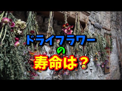 ドライフラワーの寿命は何か月？🌺 　◆知っ得◆雑学