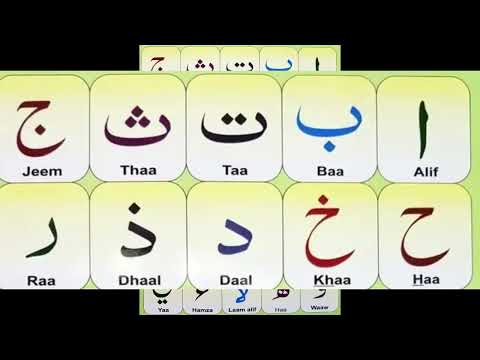 🎶 Let's Learn Arabic Letters! Alif to Yaa Song for Kids 🎵 @muslimrhymes