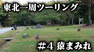 本州最北端のキャンプ場は猿だらけだった【東北一周キャンプツーリング】4日目 青森編